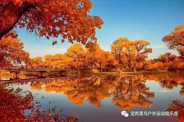 魔法骑士战争